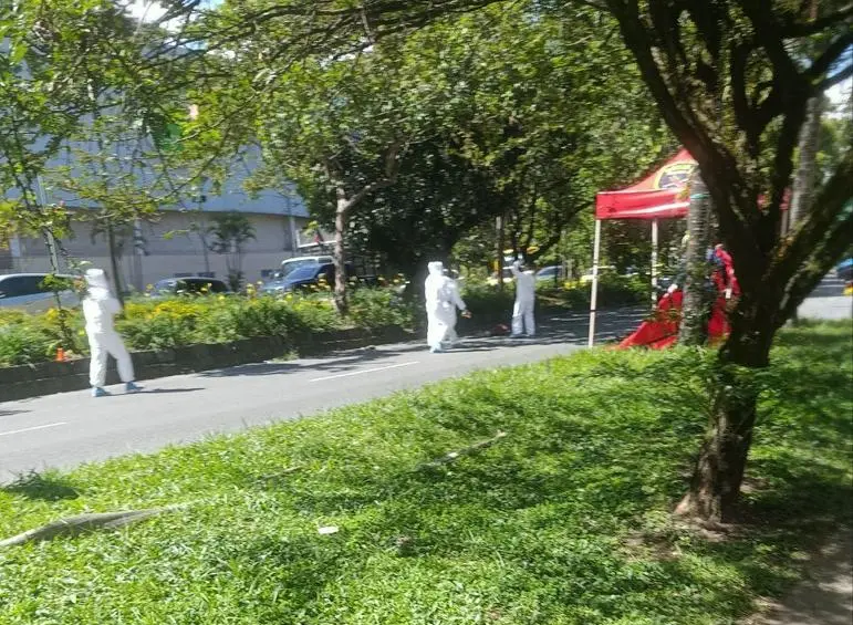 arbol-caido-envigado_48855751_20250924142020